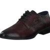 Bugatti Zavinio AFX06, Klassische Halbschuhe, Herren, Braun