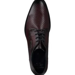 Bugatti Zavinio AFX06, Klassische Halbschuhe, Herren, Braun