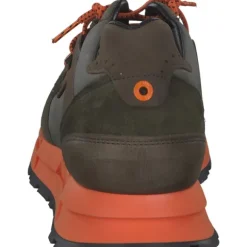 Cetti C1327 EXP, Klassische- & Business Schuhe, Herren, Grün