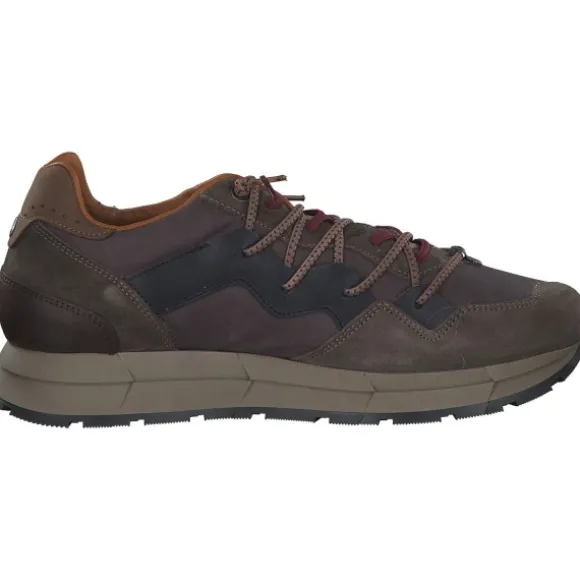 Cetti C1327 EXP, Klassische- & Business Schuhe, Herren, Braun