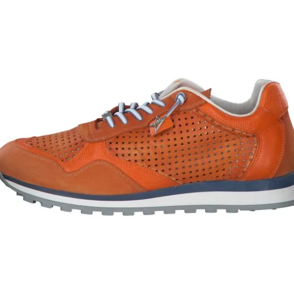 Cetti C848 EXP M, Klassische- & Business Schuhe, Herren, orange