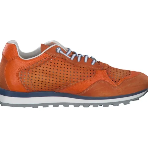 Cetti C848 EXP M, Klassische- & Business Schuhe, Herren, orange