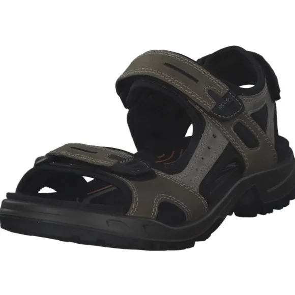 Ecco Offroad 069564, Klassische Sandalen, Herren, VETIVER/WILD DOVE