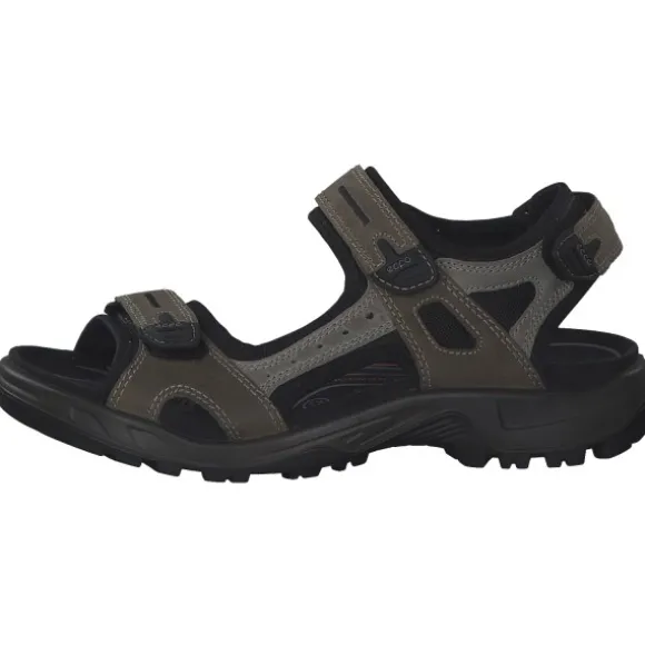 Ecco Offroad 069564, Klassische Sandalen, Herren, VETIVER/WILD DOVE