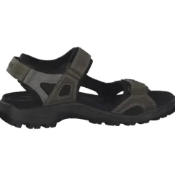 Ecco Offroad 069564, Klassische Sandalen, Herren, VETIVER/WILD DOVE