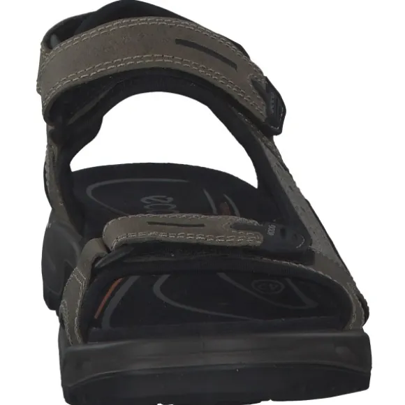 Ecco Offroad 069564, Klassische Sandalen, Herren, VETIVER/WILD DOVE