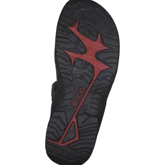 Ecco Offroad 069564, Klassische Sandalen, Herren, VETIVER/WILD DOVE