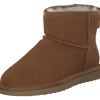 Idana 264696, Winterstiefeletten, Damen, chestnut