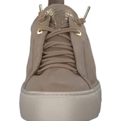 Paul Green 5017, Sneakers Low, Damen, Alpaca