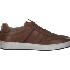 Pius Gabor 1040.13, Klassische- & Business Schuhe, Herren, Braun