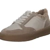 Paul Green 5369-026, Schnürschuhe, Damen, almond/bisquit